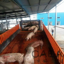哈尔滨卸猪台-盖亚机械定做厂家-卸猪台定做