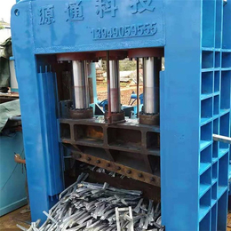 海南龙门剪-源通机械-重废金属液压龙门剪压块剪切机厂