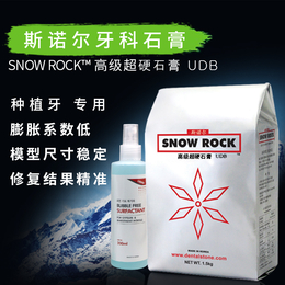 石膏品牌哪家好 深圳必励snow rock石膏