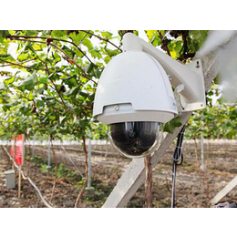 乌鲁木齐温度传感器-农业监控方案，兵峰-温度传感器模块