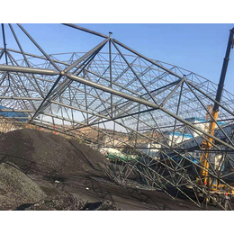 定西钢结构网架-龙之翔网架煤棚-钢结构网架工程