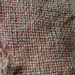 树苗笼布-志峰纺织(图)-哪里批发树苗笼布