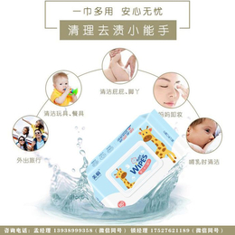 楚尚生物无磷环保(图)-郑州消毒湿巾-消毒湿巾