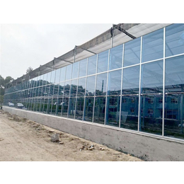 玻璃温室-青州瀚洋农业-玻璃温室造价