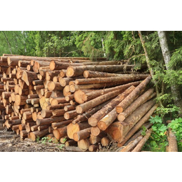 马来西亚木材进口需要哪些单证资料_三水港木材代理清关