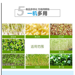 迪生自动化设备公司-200斤芽苗设备牌子-上海芽苗设备牌子