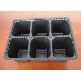 山东食品吸塑托盒-临沂国伟吸塑包装(在线咨询)-食品吸塑托盒