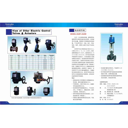 电动V型球阀安装- vacyko阀门-连云港电动V型球阀