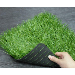 安庆人造草坪-*|合肥丽装-人造草坪施工