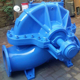 强盛泵业-黑龙江24Sh-19双吸泵