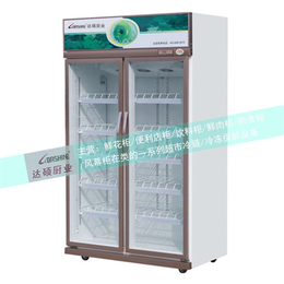 饮料冷柜-达硕制冷设备生产-饮料冷柜生产厂家