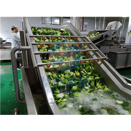气泡蔬菜清洗机生产厂家-忻州蔬菜清洗机-华邦机械