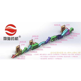 北京*干洗生产线-渤海药机(在线咨询)-生产线