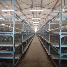 肉鸡笼子规格-运盈机械鸡笼生产厂家-肉鸡笼子