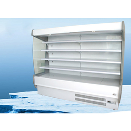 蔬菜保鲜柜供应商-漳州蔬菜保鲜柜-达硕制冷设备生产(多图)