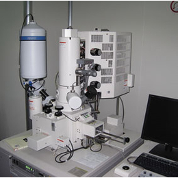 透射电镜技术服务-迈斯普公司