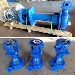 冀龙立式泥浆泵厂家(图)-立式吸沙泵厂家-滁州泥浆泵