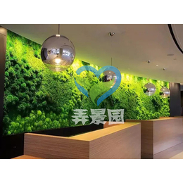 福州植物墙制作安装-福州弄景园景观工程-福州植物墙