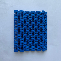 塑料网带-亿鑫橡塑塑料网带(图)-塑料网带批发
