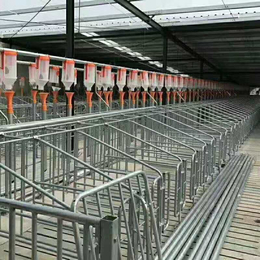 鸡舍猪舍自动喂料机上料机棚简易料线自动化输送养殖喂养设备