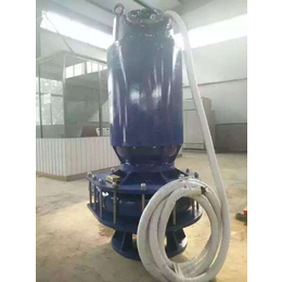 潜渣泵-程跃泵业(图)-zjq潜渣泵