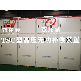 双龙威厂家*TSC高压并联电容器装置 