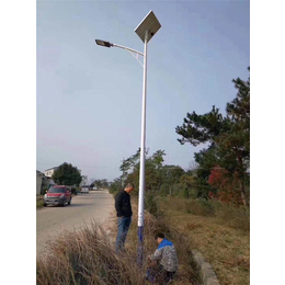池州苏源照明设备(图)-工程路灯-益阳路灯