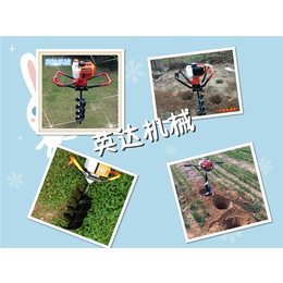 浙江挖坑机-英达机械-便携式挖坑机图片