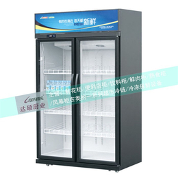 饮料冰柜-达硕商超冷链制造-饮料展示冰柜生产厂家