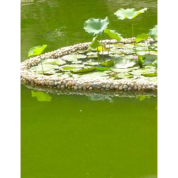水产鱼池绿藻清除方法-艾立特批发价格-鱼池绿藻清除方法