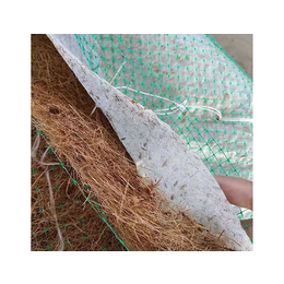 防洪椰丝生态毯报价-大广新材料(在线咨询)-防洪椰丝生态毯