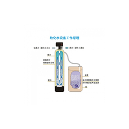 锅炉房小型板换阻垢软化水设备洗水厂除垢软水机