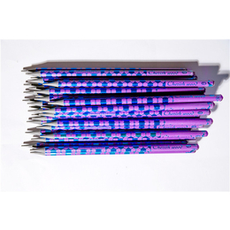 塑料HB铅笔定制批发-塑料HB铅笔-龙腾笔业彩铅厂家供应