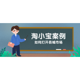淘小宝商城-贵州淘小宝-软件开发(查看)