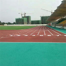 *体育设施公司(图)-天津塑胶跑道施工-天津塑胶跑道