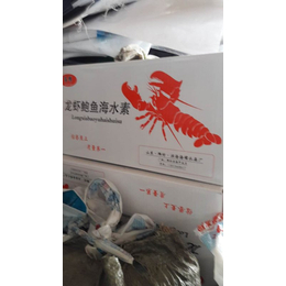 精制海水晶批发-镇江海水晶-潍坊超达化工供应(查看)