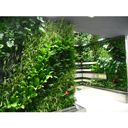 植物墙公司-植物墙-德之助