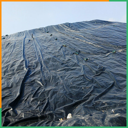 土工膜-土工布-雨污分流HDPE土工膜