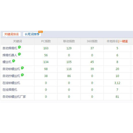 网络优化报价-商恩(在线咨询)-万江网络优化