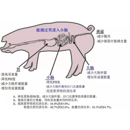 钾乐二甲酸钾对猪的生长性能的影响缩略图