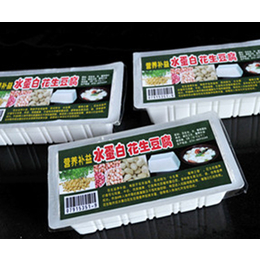 四川制作水蛋白花生豆腐加盟