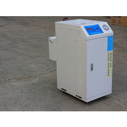 电加热蒸汽发生器-隆鑫热能设备-电加热蒸汽发生器保定