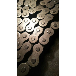 不锈钢板式链价格-板式链-金鑫隆机械厂家销售(查看)