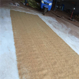 植物纤维毯价格-*河道护坡绿化-南平植物纤维毯
