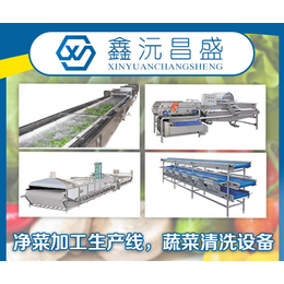 上海脱水蔬菜加工设备-鑫沅昌盛-河南脱水蔬菜加工设备厂