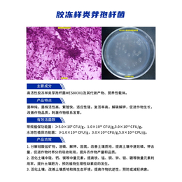 天津坤禾生物(图)-胶冻样类芽孢*价格-胶冻样类芽孢*