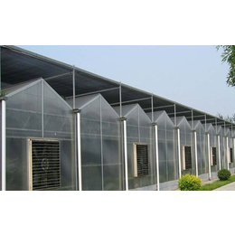 齐鑫温室大棚建造案例-玻璃阳光板温室大棚价格