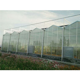 玻璃大棚-青州瀚洋农业-一亩玻璃大棚造价