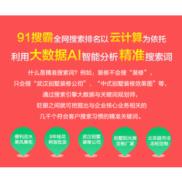 整合网络营销哪家强-网络营销哪家强-湖北九一搜霸(查看)