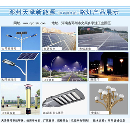 南阳欧式路灯-唐河路灯-天泽电力设备型号齐全(查看)